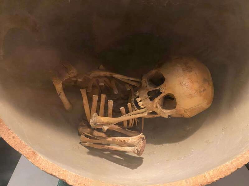 National Museum of Anthropology: a journey into Mexico's past - English lang. - Mexico City’s Museum Shortcut to Understanding Ancient Life
