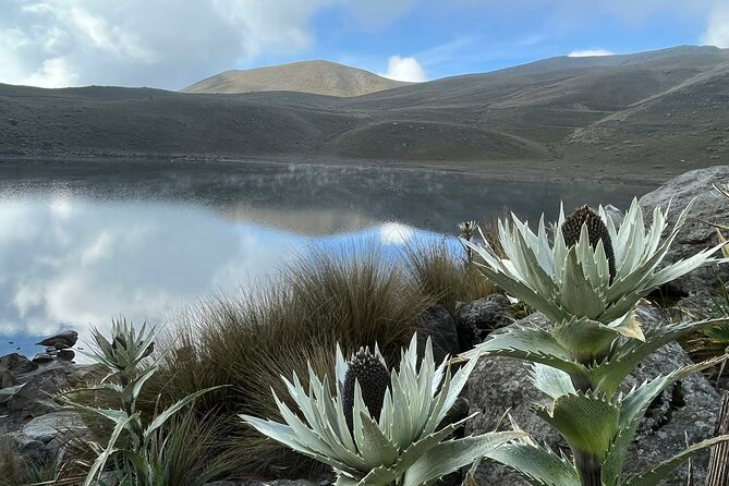 Nevado de Toluca Tour from Mexico City - 6:00 am pickup and the 2-hour ride to the mountains