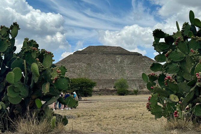 North tour in Mexico City - Tlatelolco archaeological zone, history plus a real urban feel