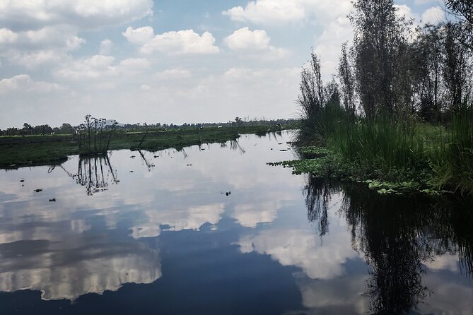 Pre-Hispanic Xochimilco, local food included and ajolotario. - Xochimilco Town and San Bernardino de Siena: A Short Church Stop With Context