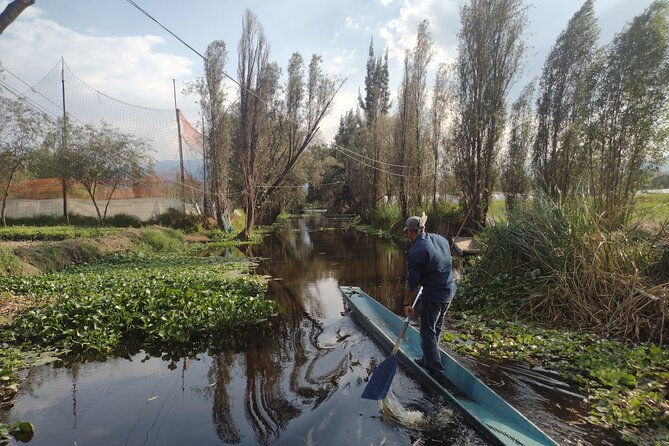 Pre-Hispanic Xochimilco, local food included and ajolotario. - Cuahilama Hill: Pre-Hispanic Ceremonial Center and the Best Way to Read the Views