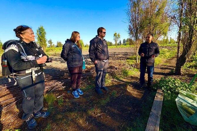 Prehispanic Xochimilco: Market, chinampas, axolotls kids friendly - The trajinera ride: what you get in 2 hours on the water