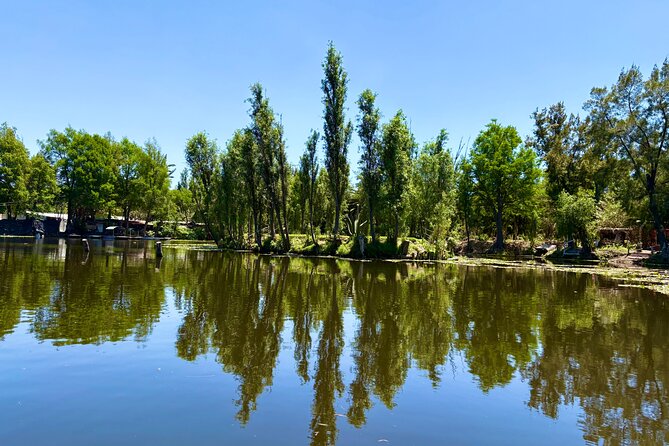 Prehispanic Xochimilco: Market, chinampas, axolotls kids friendly - Practical logistics that actually help you plan