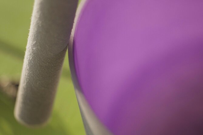 Private Activity Sound Trip in La Condesa - Vitali Clinica Spa Atmosphere: Comfort before sound
