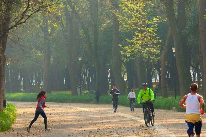 Private Chapultepec Park by Bike Guided Tour - Stop 4: Los Pinos, now a cultural complex