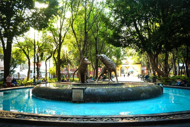 Private City Tour in Frida Kahlo, Coyoacan, and Xochimilco - Coyoacán walking: mercados, churches, and coffee on the route