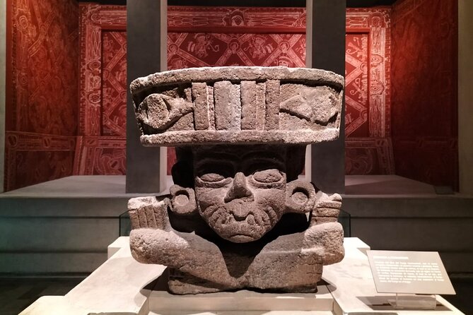 Private Mexico City Anthropology Museum Tour - Mayan hieroglyphs and the Aztec Sun Stone, explained without the fog