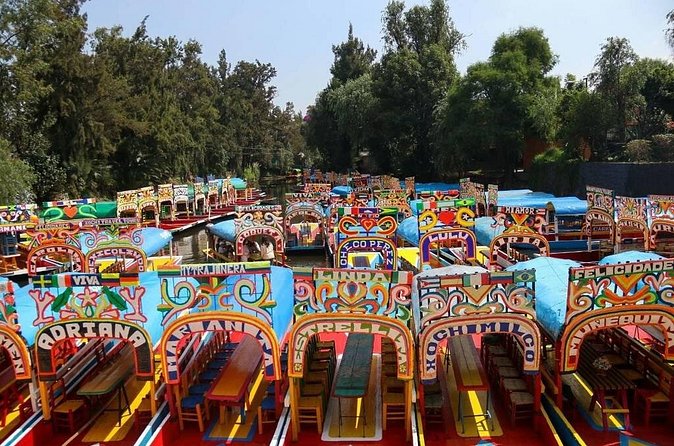 Private/Shared Tour Xochimilco Coyoacán optional Frida Kahlo - Frida Kahlo Blue House: what’s included, what’s extra, and how to plan