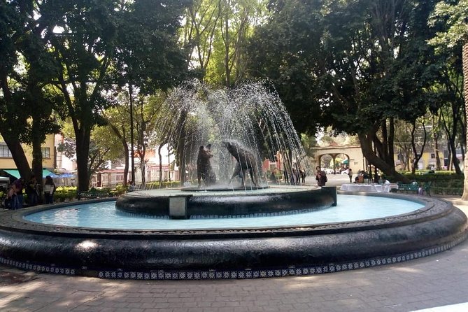Private Tour Coyoacan & Frida Kahlo's Neighbourhood - Best Rated - Coyoacán in Two Hours: What the Walking Pace Feels Like