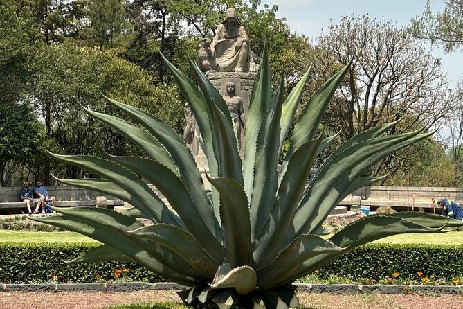 Private Tour in the Historic Center of CDMX and Chapultepec - How the private format keeps your day efficient