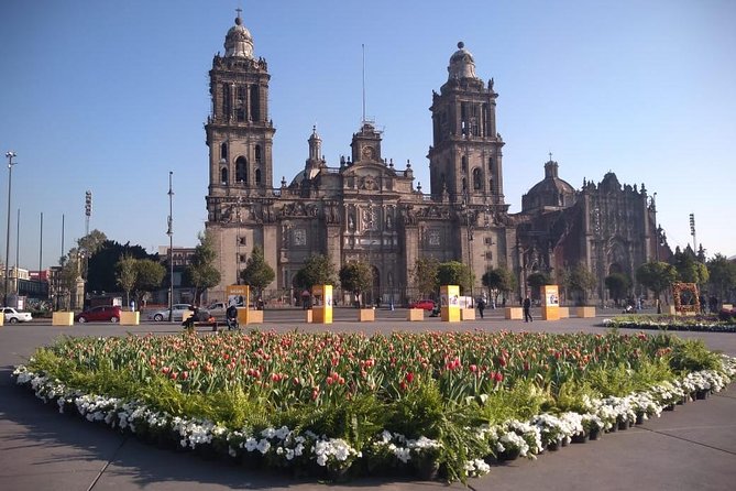 Private Tour of Mexico City with Anthropology - Price and what $229.99 buys you in Mexico City