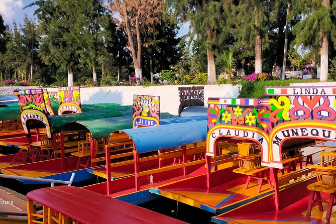 Private Tour to Coyoacán & Xochimilco. - Coyote Fountain and Centenario Park: Coyoacán’s Friendly Start