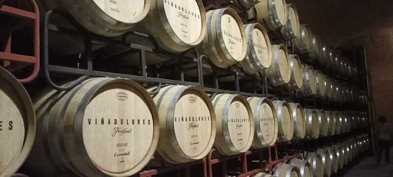 Private tour to Peña de Bernal & Freixenet Winery from CDMX - Key things to know before you go