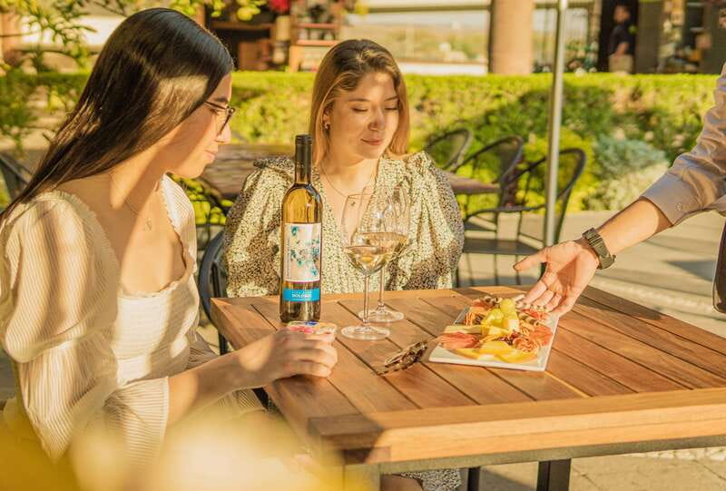 Private tour to Peña de Bernal & Freixenet Winery from CDMX - The tasting: 3 wines and 5 mixed tapas (18-plus only)