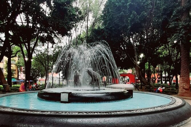 Private Tour to Xochimilco, Coyoacan and the World of Frida Kahlo - The private format and the guide can make or break the vibe