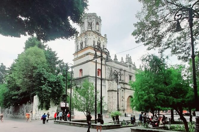 Private Tour to Xochimilco, Coyoacan and the World of Frida Kahlo - What to plan for: weather, no lunch, and timing between markets and canals