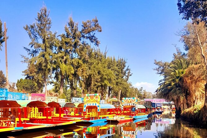 Private Tour to Xochimilco, Coyoacan and the World of Frida Kahlo - Xochimilco: chinampas, music, and the best way to slow down