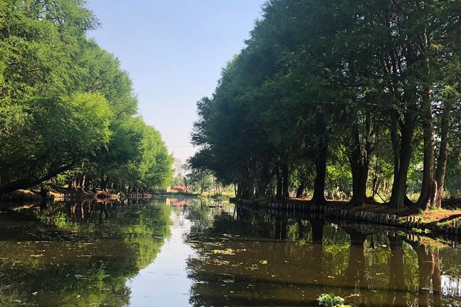 Private Tour: Xochimilco, Coyoacan and Frida Kahlo Museum - Casa Azul, the Frida Kahlo Museum ticket you actually use