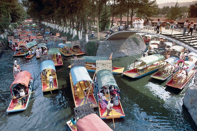 Private Tour: Xochimilco Coyoacan and Frida Kahlo's Museum and house - How the day flows, from UNESCO UNAM to Blue House Frida