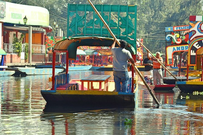 Private Tour: Xochimilco Coyoacan and Frida Kahlo's Museum and house - Health protocol and masks: what you should expect today