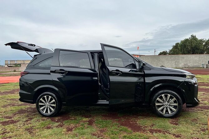 Private Transportation to Teotihuacan from CDMX - Price and value: when $179.22 per group makes sense