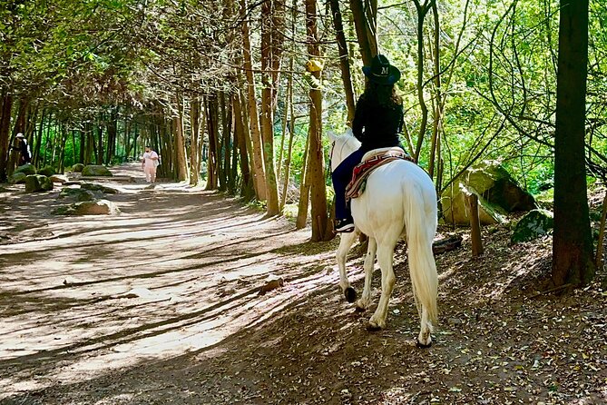 Ride Horses, Learn to Cook with Locals in Mexico City - Condesa Pickup, Then the Cowboy Team Meets You