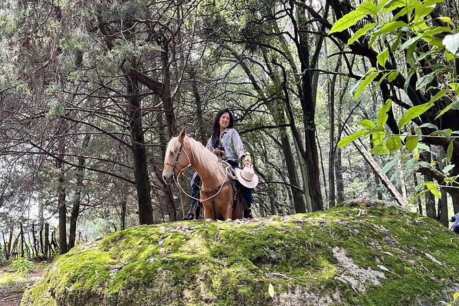 Ride Horses, Learn to Cook with Locals in Mexico City - The Fire-Centered Cooking Class at a Family Cabin
