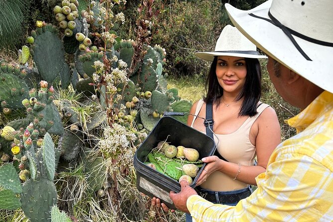 Ride Horses, Learn to Cook with Locals in Mexico City - Lunch and Timing: Why a Full Day Works Better Than a Quick Tasting