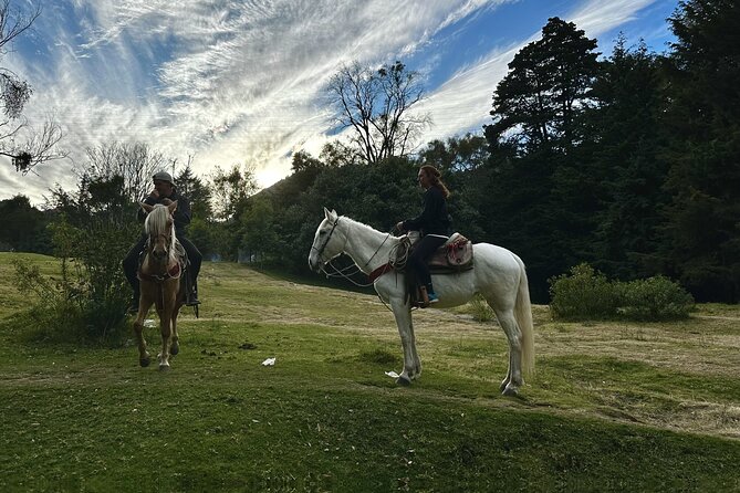 Ride Horses, Learn to Cook with Locals in Mexico City - Included Lunch and Private Transportation, Plus One Thing Not Included