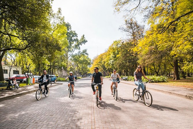 Street Food Bike Tour / Mexico is not only Tacos / All Inclusive - Audiorama and Chapultepec Park: A Scenic Break Between Bites