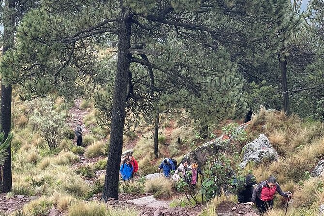 Sunrise in Las Alturas Hiking in El Pico del Aguila Tlalpan - Sunrise at the Summit: Photos, Timing, and the Kind of Quiet You Remember