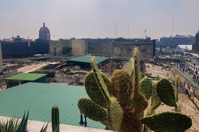 Templo Mayor Museum Semi Private Walking Tour in Mexico City Downtown - Getting started in Centro Histórico without the hassle