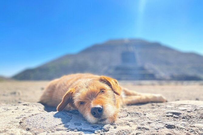 Teotihuacan and My Grandma's Food Tour - Price and logistics, judged by what you actually get
