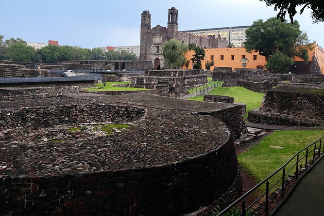 Teotihuacan & Basilica of Guadalupe - Private Tour - Food that actually fits the day: cochinita pibil tasting