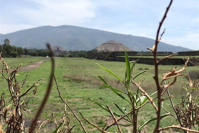 Teotihuacan & Basilica of Guadalupe - Private Tour - What makes the private guide a real value
