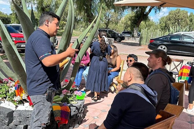 Teotihuacan Express with pick-up in Mexico City - Practical tips to make the most of an express format