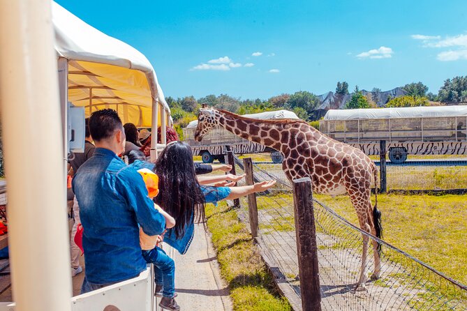 Teotihuacán for kids - Reino Animal Park: why the afternoon feels like the real payoff