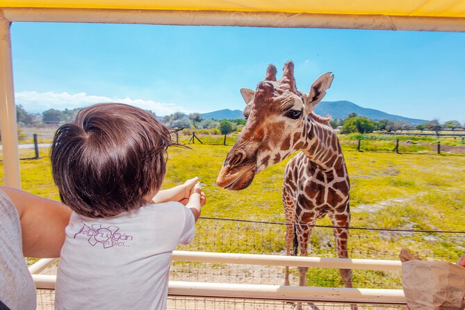 Teotihuacán for kids - The big monuments kids usually remember: Sun, Moon, Citadel, and murals