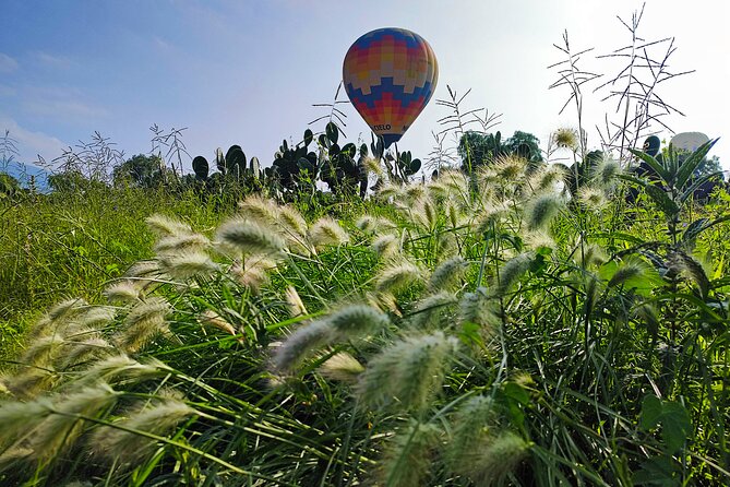 Teotihuacan Hot Air Balloon private or group tour - El Jaguar breakfast buffet, pulque talk, and the obsidian stop
