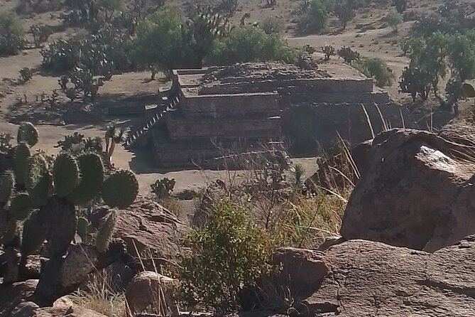 Teotihuacan Pyramids tour - Optional Basilica de Guadalupe, what you choose (and why)