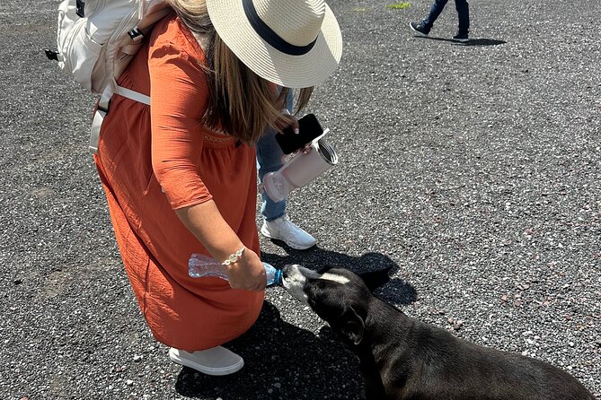 Teotihuacan Sunrise Tour from Mexico City - Don’t skip the quieter barrio and its mural clues