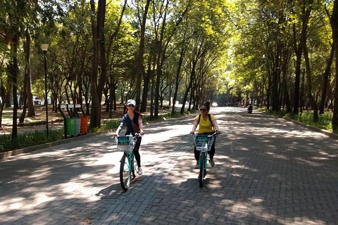 The best of Mexico City Bike Experience EXPRESS - Meeting at Paseo de la Reforma, then locking onto the route