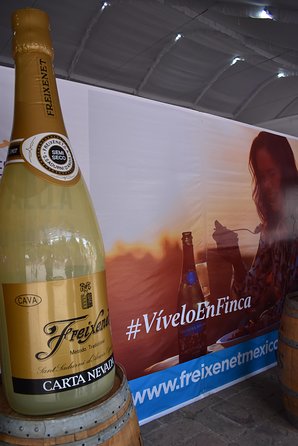 The Magical Town of Tepotzotlán & Artisanal wine from Mexico City - What the $246 price gets you, and how to judge value