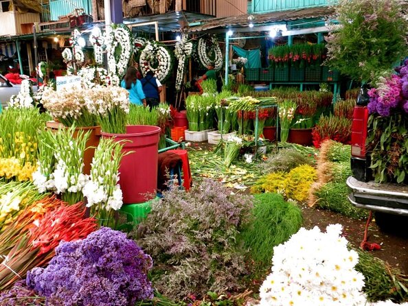 Tortilla Crawl: Food Tour in Mexico City - Key Highlights You Will Feel Immediately