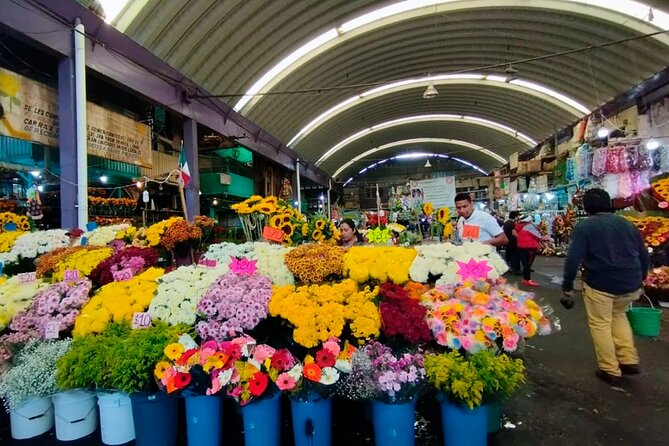 Tortilla Crawl: Food Tour in Mexico City - How the Tortilla Crawl Works, Meet in Centro and Eat Fast