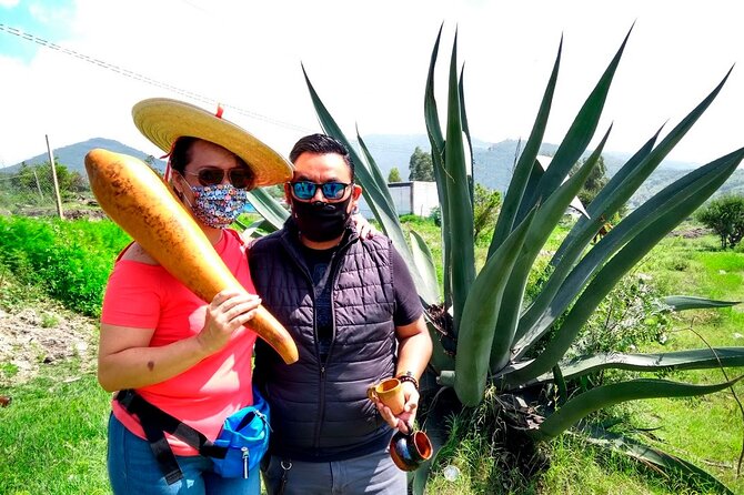 Tour de Pulque en Tepotzotlán, Pueblo Mágico - Key points before you go