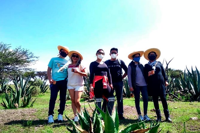 Tour de Pulque en Tepotzotlán, Pueblo Mágico - Price and What You Really Get for $134.25