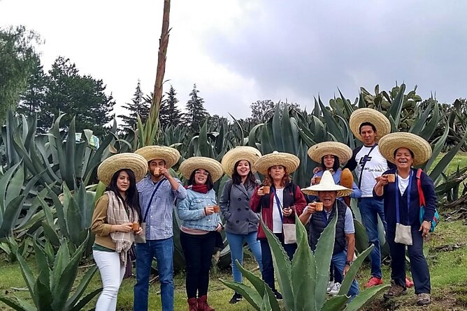 Tour de Pulque en Tepotzotlán, Pueblo Mágico - The Agave Fields Stop: How a Plant Becomes Pulque