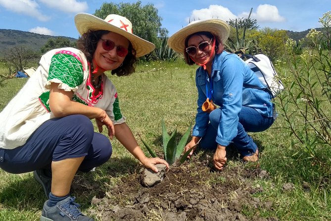 Tour de Pulque en Tepotzotlán, Pueblo Mágico - The Gastronomy Workshop: Salsa, Tortillas, and Real Taste Tests