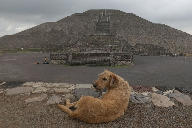 Tour to Teotihuacan from CDMX with entrances included - Panadería Rosetta stop: a smart coffee reset (20 minutes)